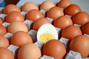hard boiled egg