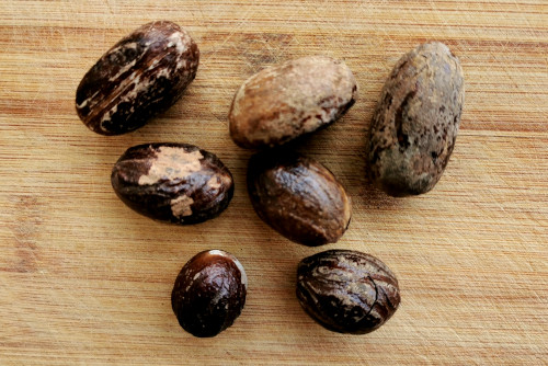 Black cardamom 草果