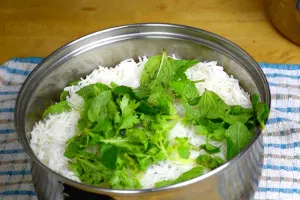 mint and coriander for chicken briyani