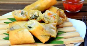 spring rolls dim sum