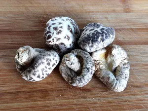 shiitake mushroom buddha's delight