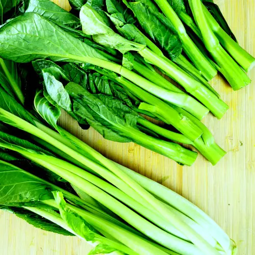 different types of choy sum