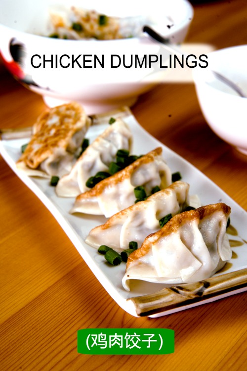 Chinese chicken dumpling recipe