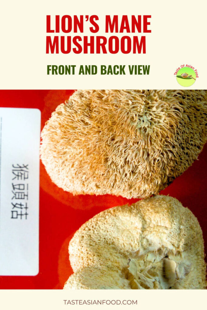 Front and back view of a fresh lion&rsquo;s mane mushroom