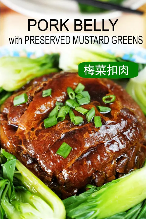 Mei Cai Kou Rou (Hakka pork belly with preserved mustard greens) served on a plate with savory gravy